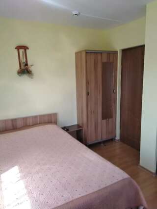Гостевой дом Pensiunea Roua Diminetilor Ruşca Двухместный номер с 1 кроватью и собственной ванной комнатой-18